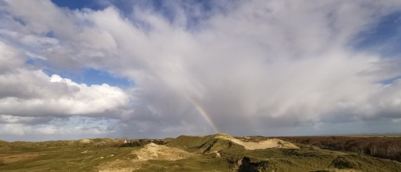 Das Bild zeigt die Landschaft im Inselosten